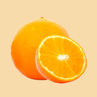 Orange bio terrabio